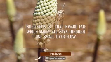Indigestion is - that inward fate which makes all Styx through one small liver flow