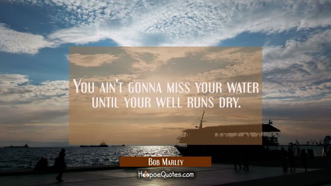 You ain&#039;t gonna miss your water until your well runs dry.